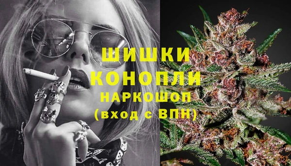 дживик Абинск