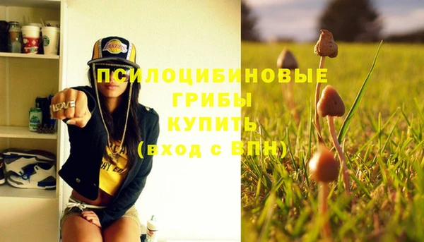 скорость Абаза
