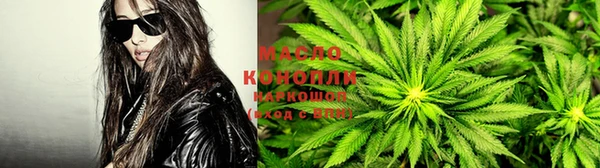 дживик Абинск