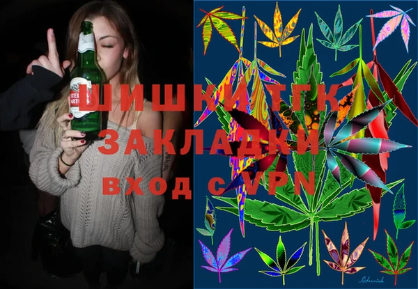 твердый Новозыбков