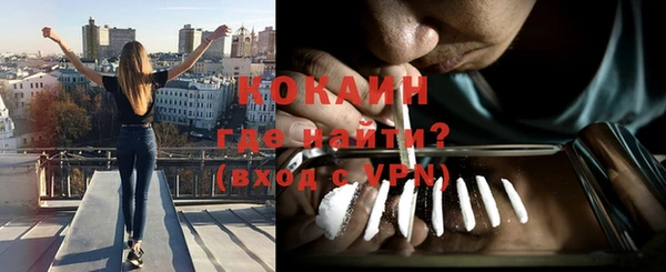 дживик Абинск