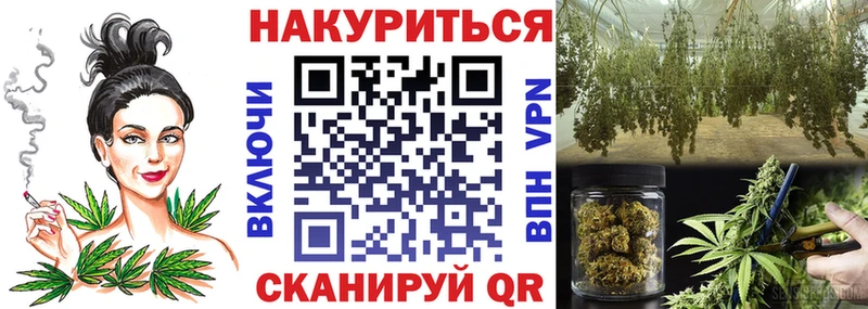Шишки марихуана план как найти закладки Эртиль